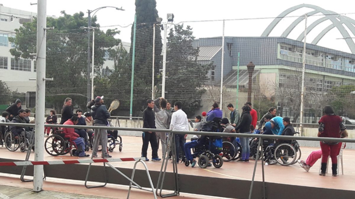 colonias de invierno