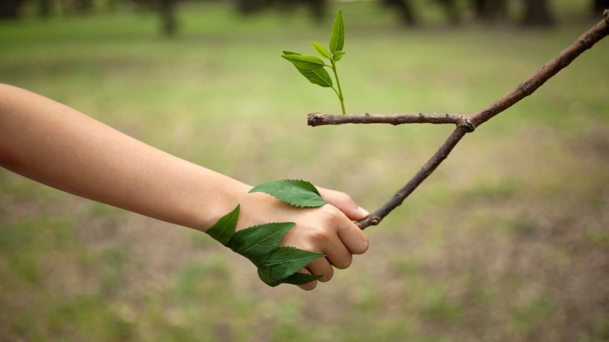 DIA-MUNDIAL-MEDIO-AMBIENTE-2021-FRASES