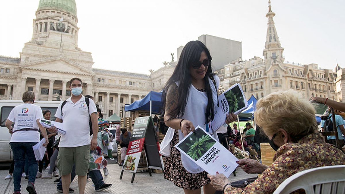 cannabis congreso