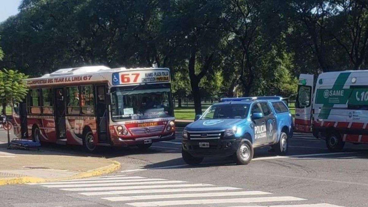 colectivos