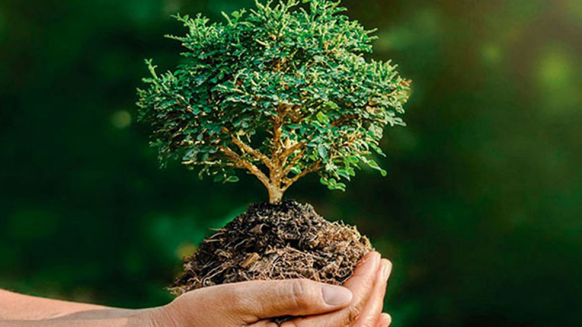 dia de la naturaleza 900x450