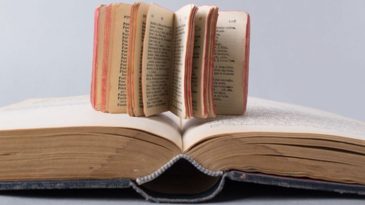 dia-libro