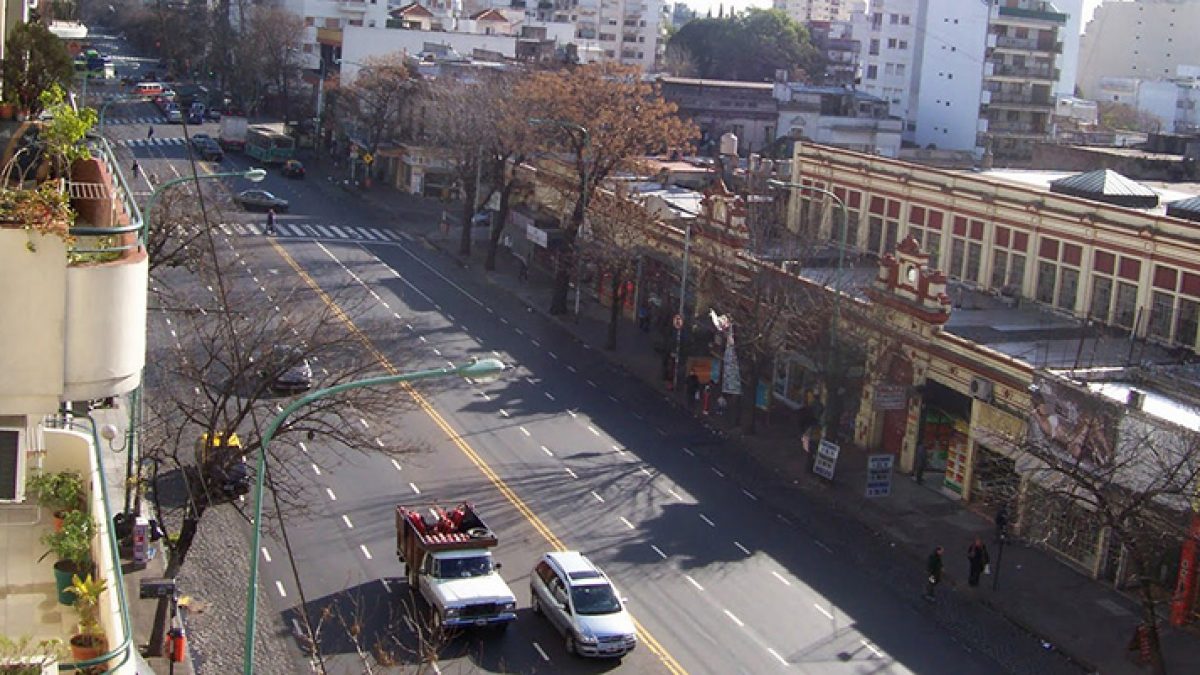 floresta