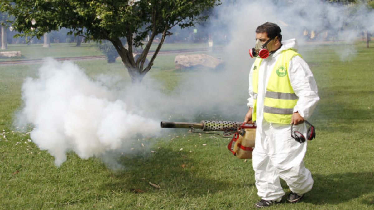 fumigacion-02