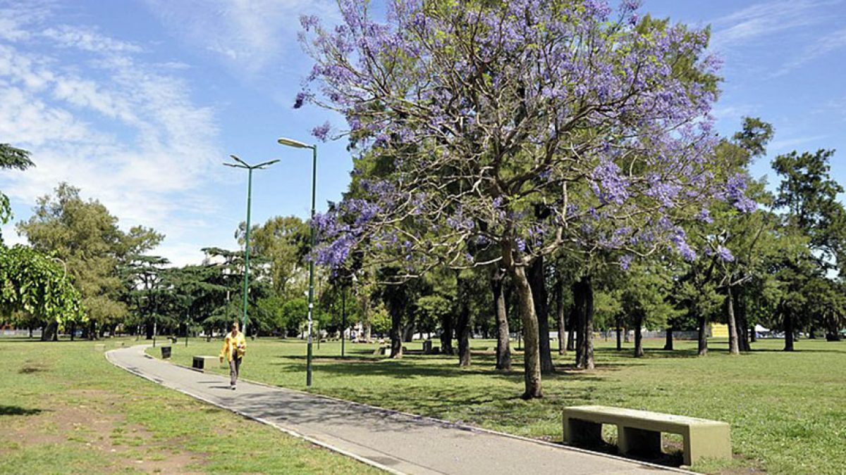 parque saavedra