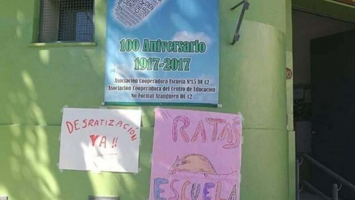 ratas-escuela-flores