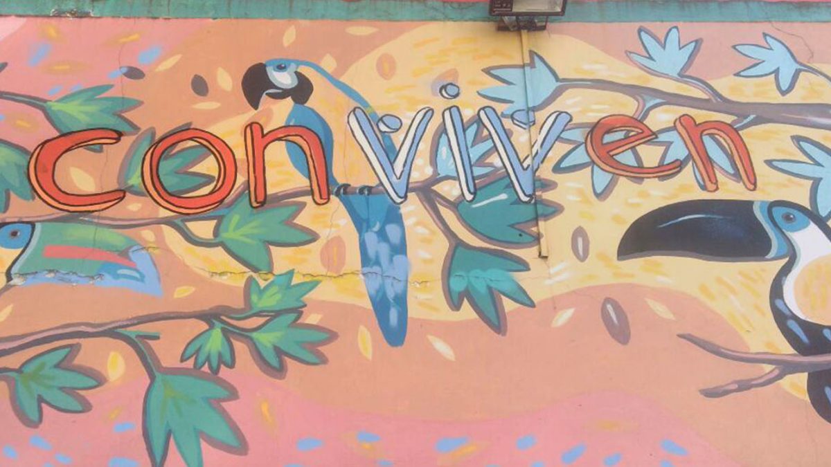 villa 15 conviven