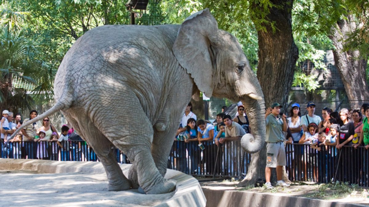 zoologico